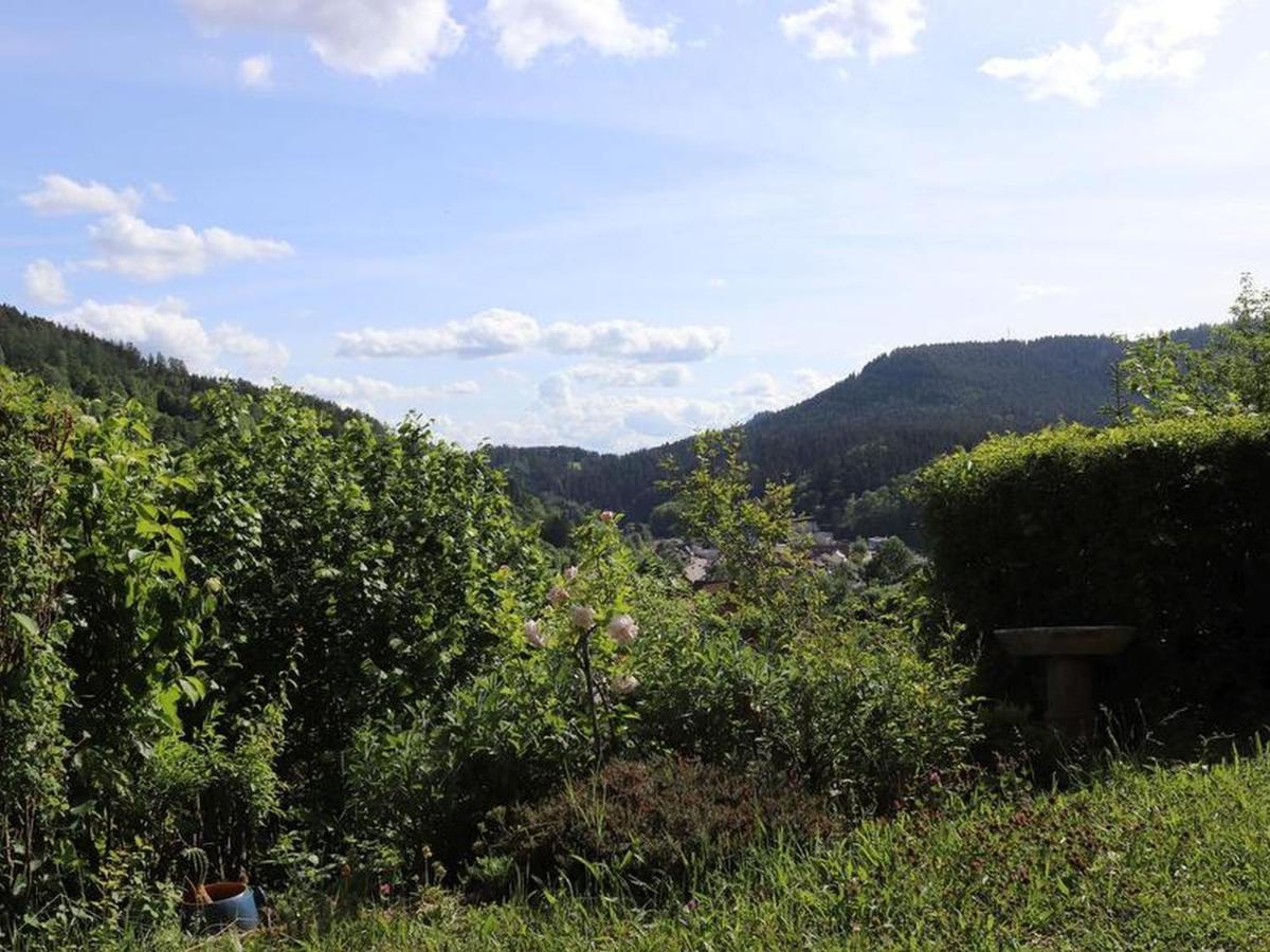 Haus Hoehneck 1 Алпирсбах Екстериор снимка